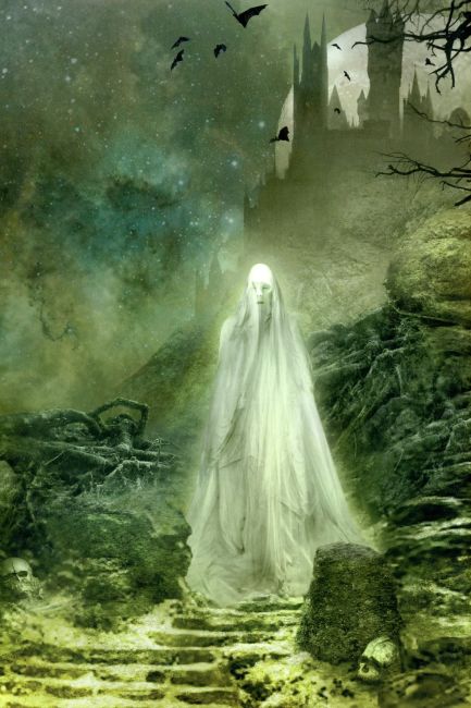 Weird Tales: The Best of the 1920s